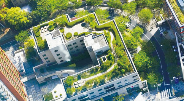 鄭州市鄭東新區(qū)如意湖轄區(qū)屋頂綠化建設(shè)項(xiàng)目
